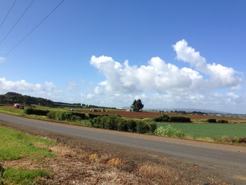 pukekohe.jpg